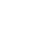Network Camera